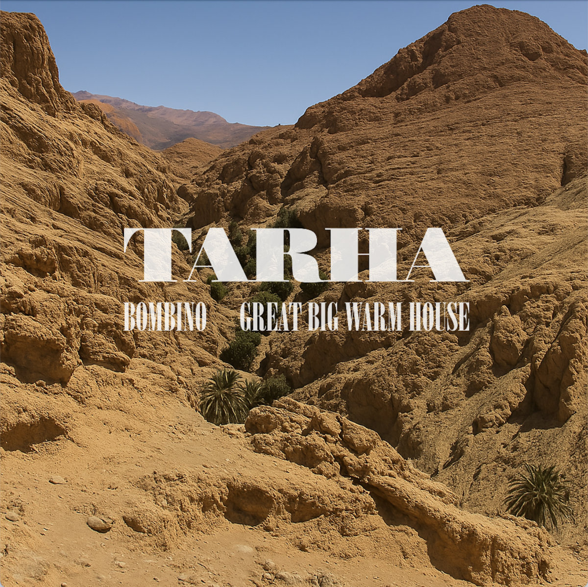 Tarha | Bombino