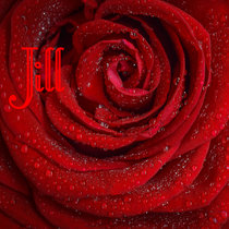 For The Love Of Jill cover art