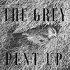 The Grey Cover Art