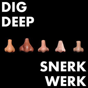 Snerk Werk cover