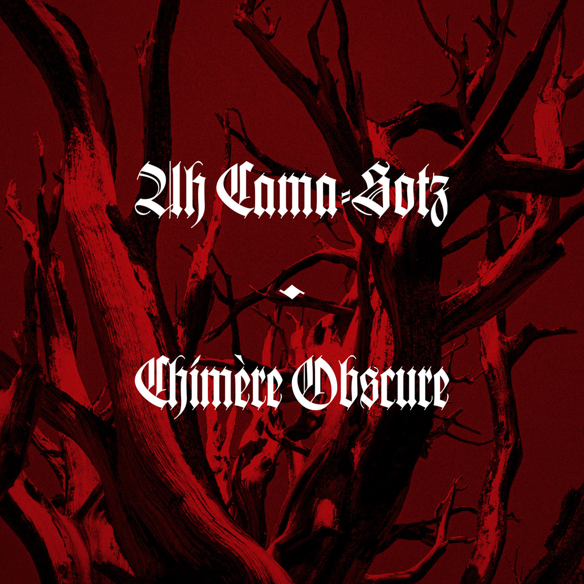 洋楽 Amnesia/ unknown entity 洋楽 Amnesia/ unknown entity Amnesia - Unknown Entity