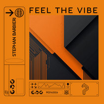 Pure Enjoyment Recording — Stephan Barbieri - Feel The Vibe