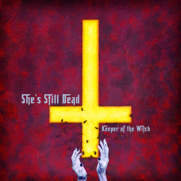 Keir Gilchrist It Follows Streaming Keeper Of The Witch She's