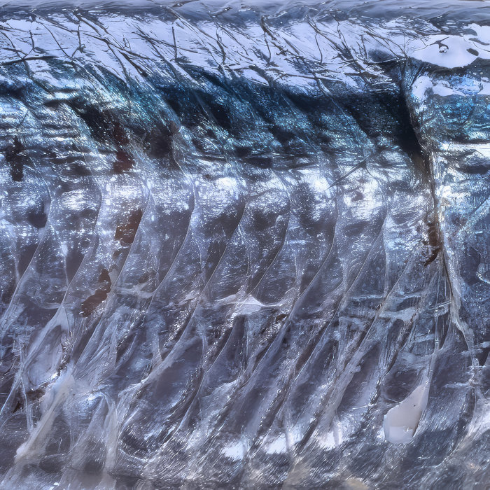 Mara Rara Fish Mārara | 15 15