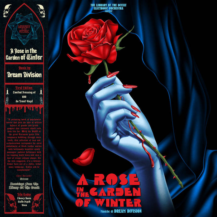 A Rose in the Garden of Winter | Dream Division