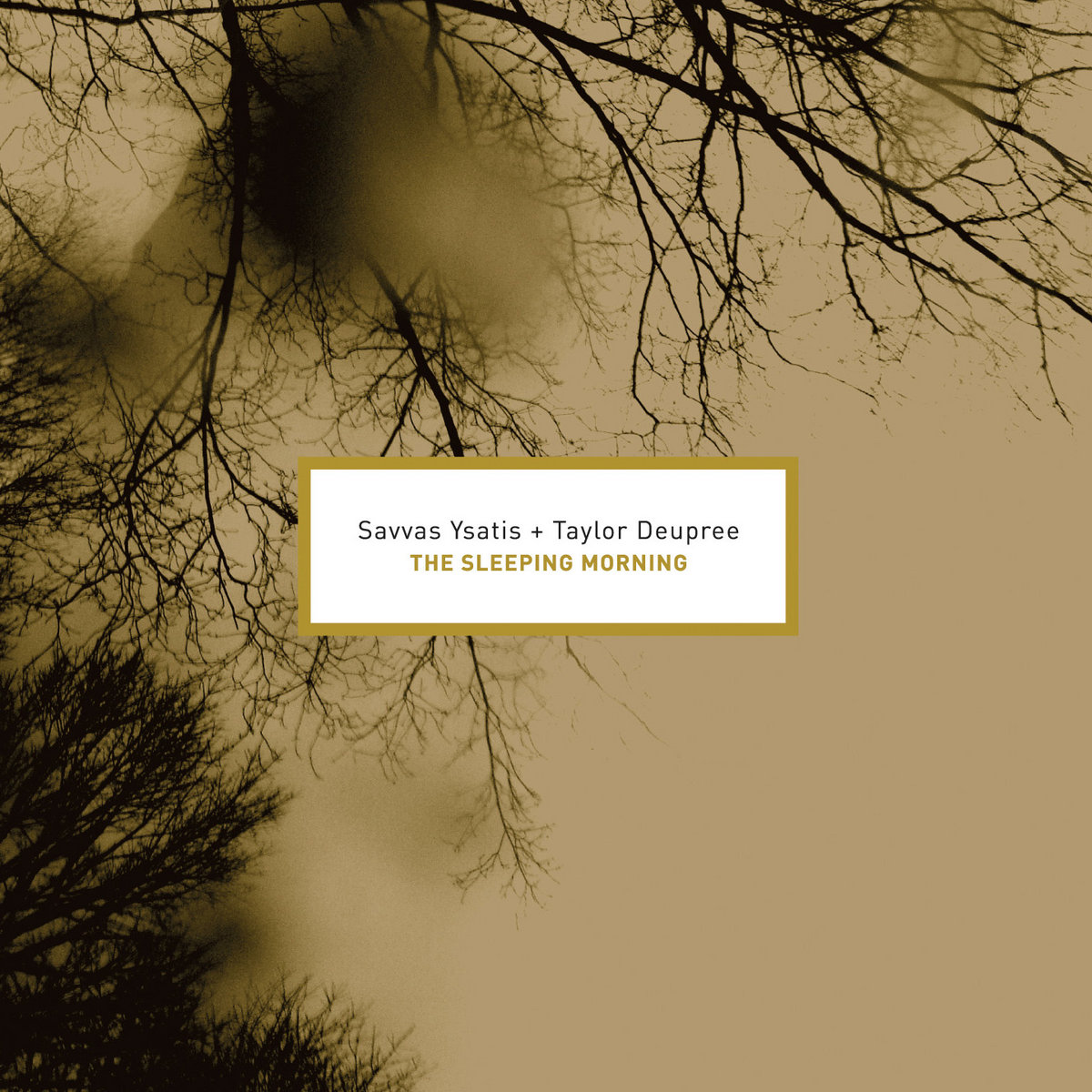 The Sleeping Morning | Savvas Ysatis & Taylor Deupree | 12k