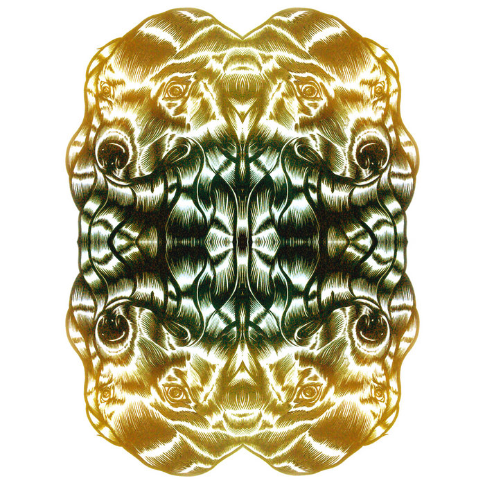 Golden Retriever | Golden Retriever