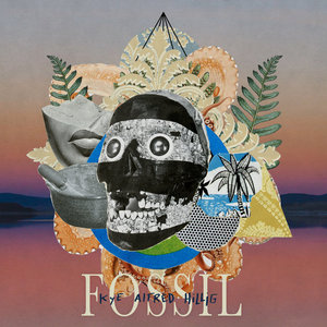 Fossil cover