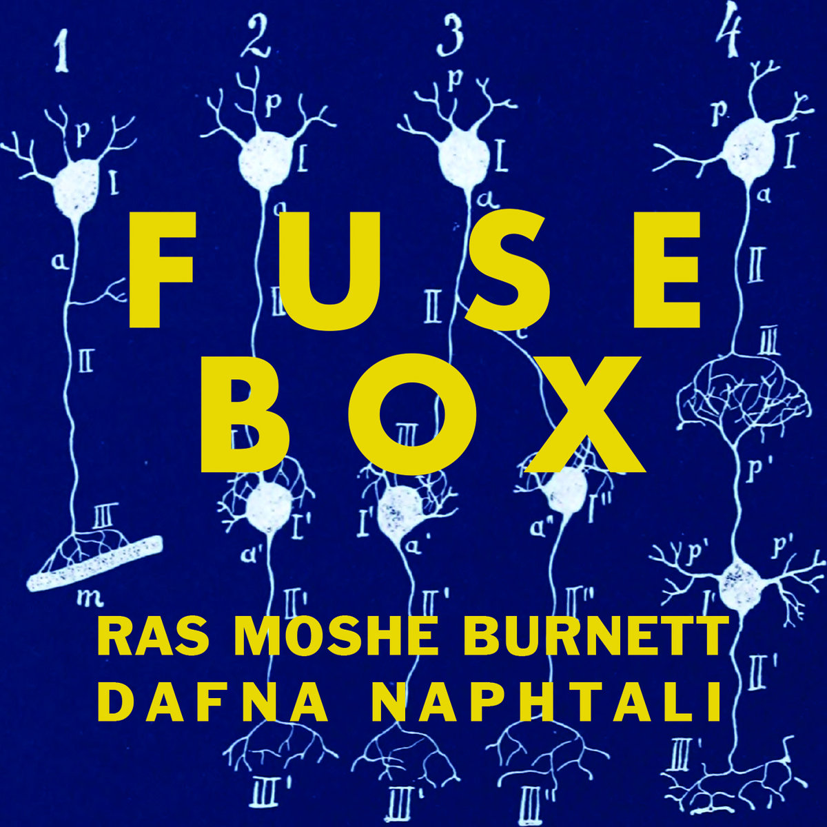 Fusebox