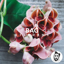 bags cover art