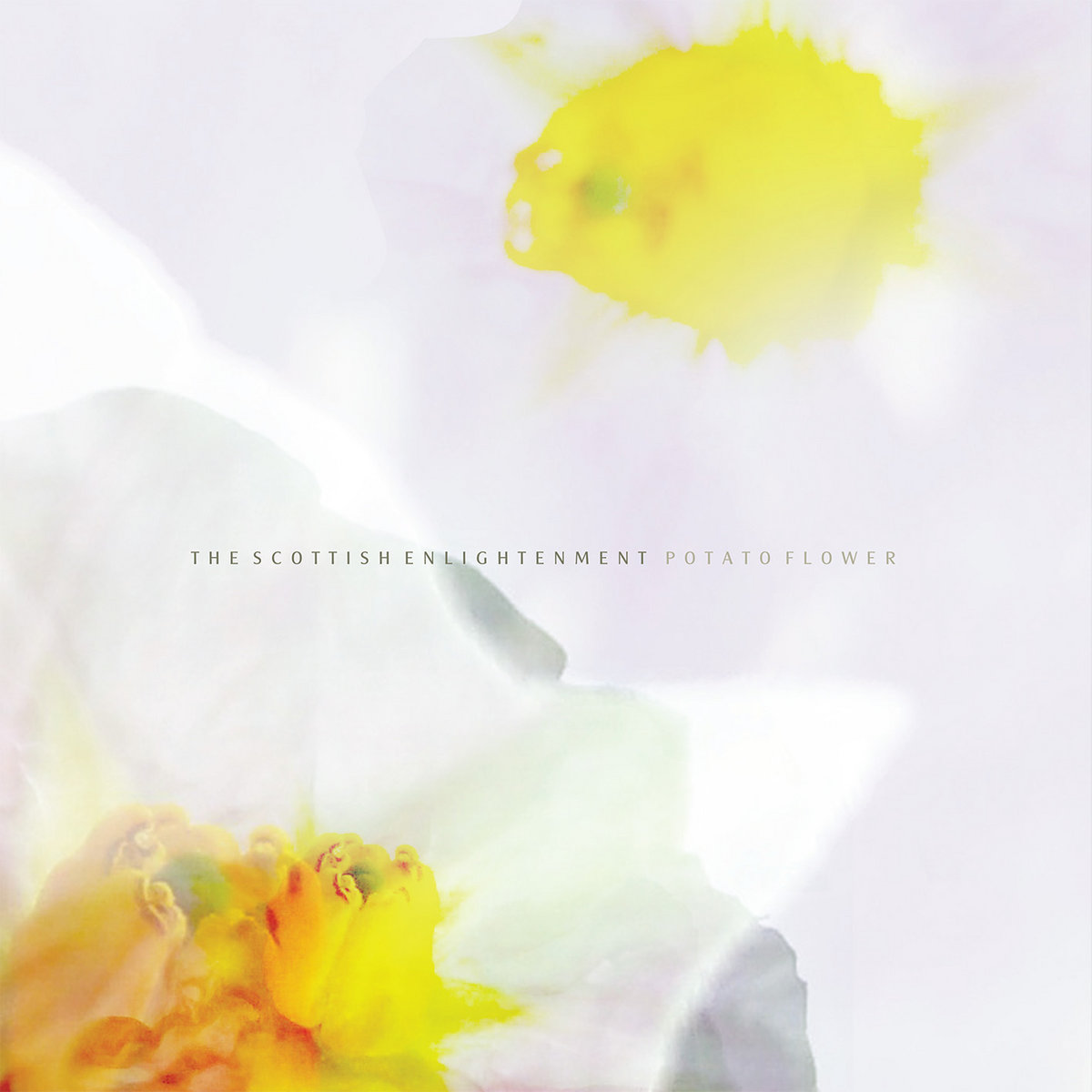 The Scottish Enlightenment , Bandcamp
