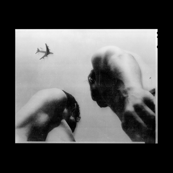 Metal Bird | Eve Adams