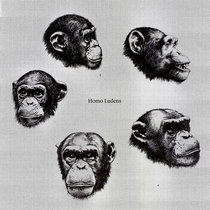 Various — NSR 01 - Homo Ludens