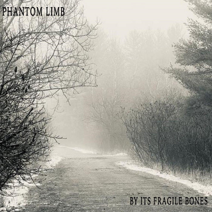 By Its Fragile Bones Phantom Limb