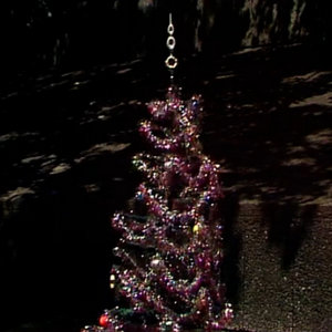 Transmisión Festiva cover