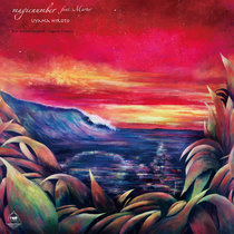 Kenichiro Nishihara - Nebulosa / Slip Away
