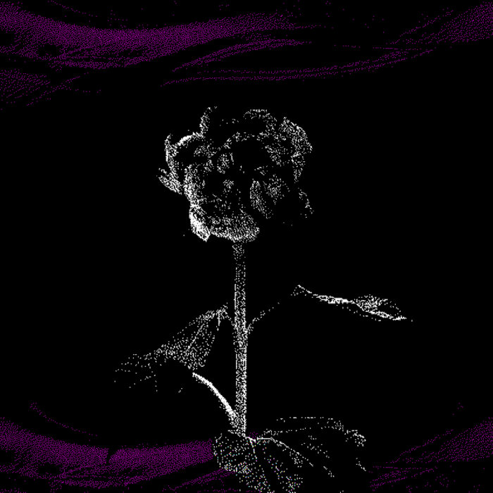…æŒ/(wait for me±ÖÝ›nædo not do not do not“w, by NoisyRejects