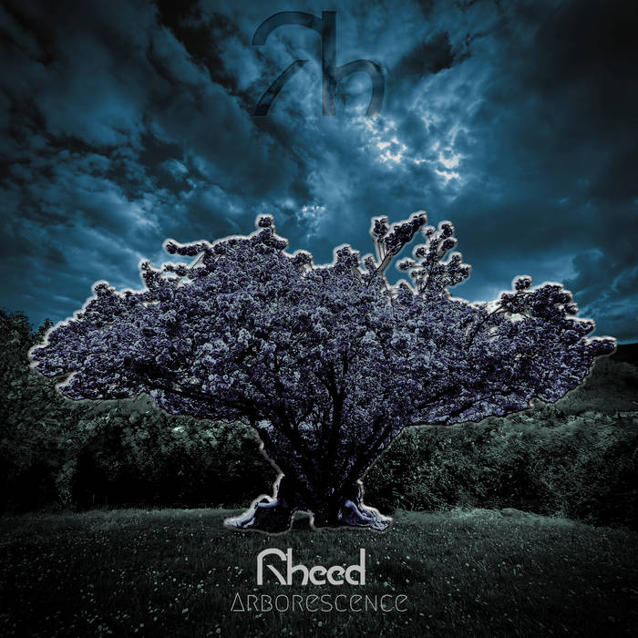 Arborescence | Rheed