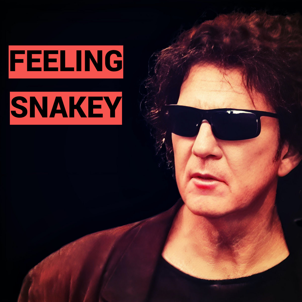 FEELING SNAKEY | Tony Joe White