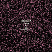 SANSIBAR — Sansibar & Denzel - Sonic Minds
