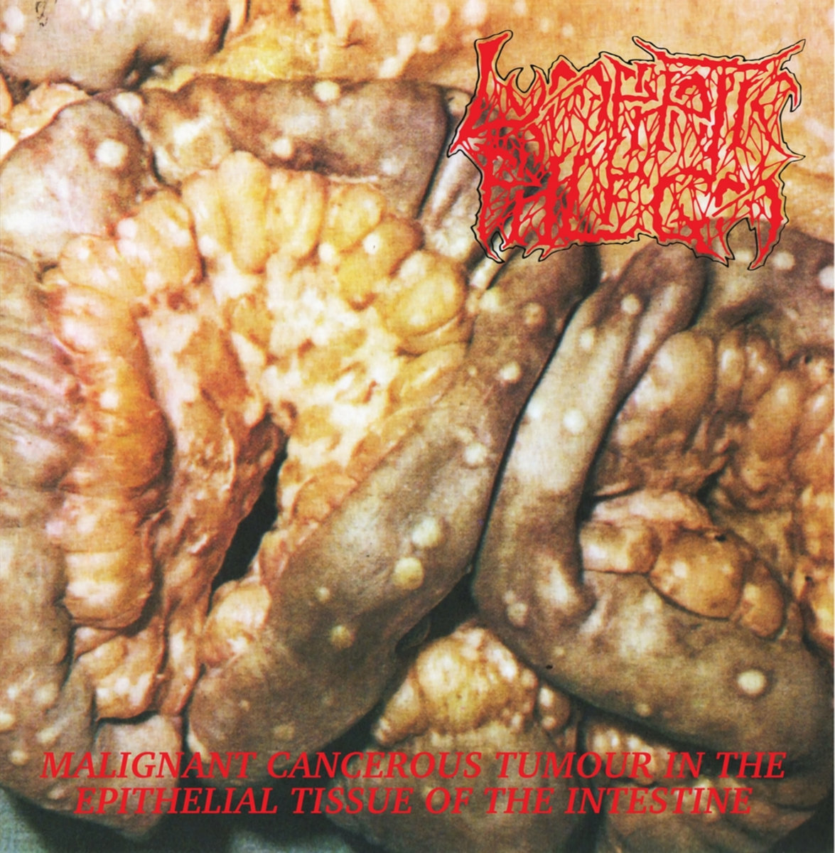 【ラプンツェル様用】INFECTED MALIGNITY / The Mali他 The Malignity Born From Despair | Infected Malignity