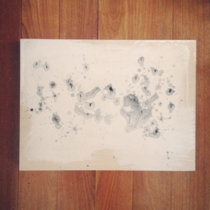 the first year on the mammoth ssnock cover art