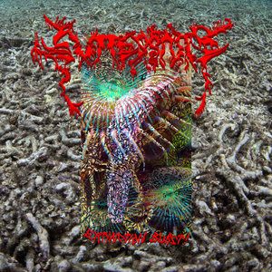 Extinction Burst! cover