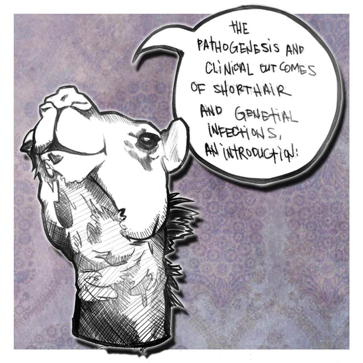 Short Hair Short Hair