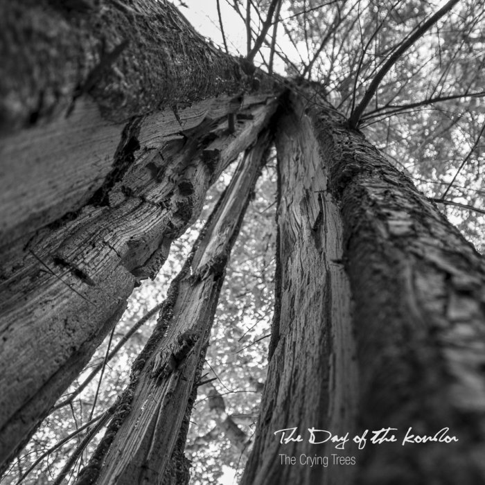 The Crying Trees Denes Dobai, Zoltan Komor, The Day of the Kondor