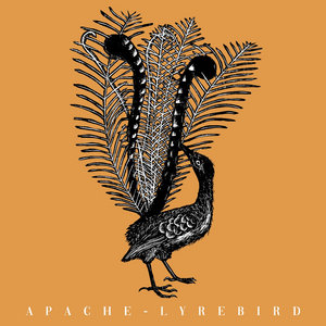 Lyrebird cover