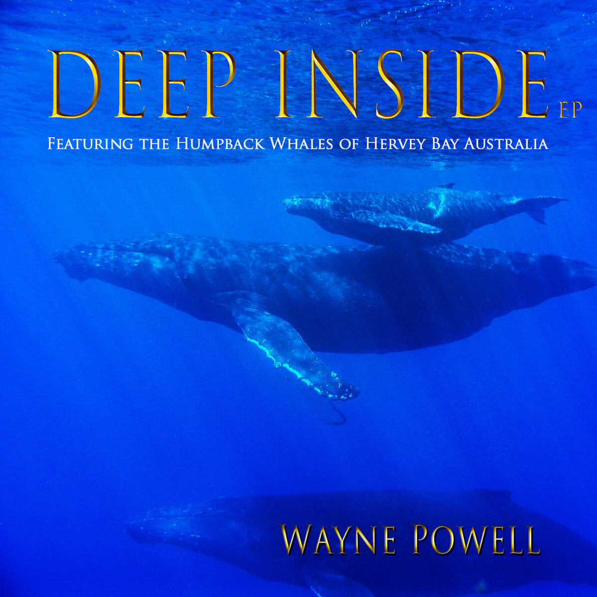 Deep Inside Wayne Powell Wayne Kealohi Powell posh-paws