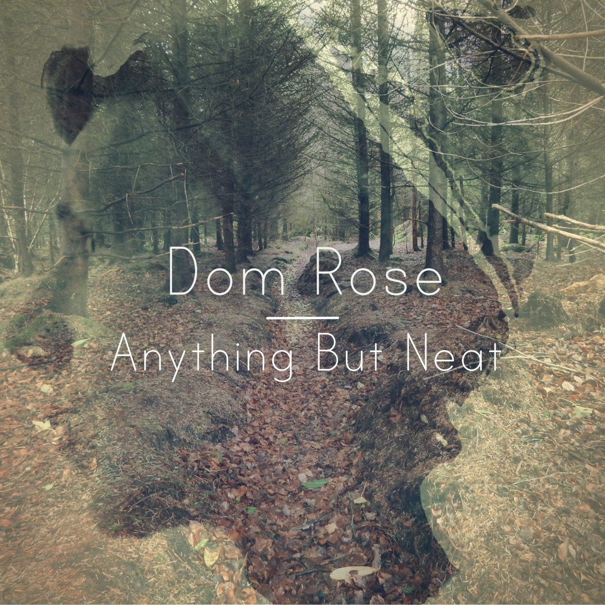 Anything But Neat cover