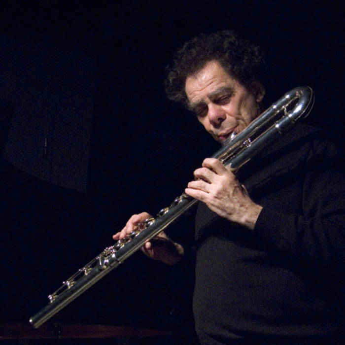 Флейта-тромбон игрушка. Басовая флейта. Октобасовая флейта. Бас флейта поперечная. Басовая флейта.