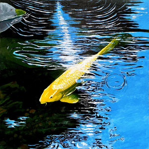 pond cover
