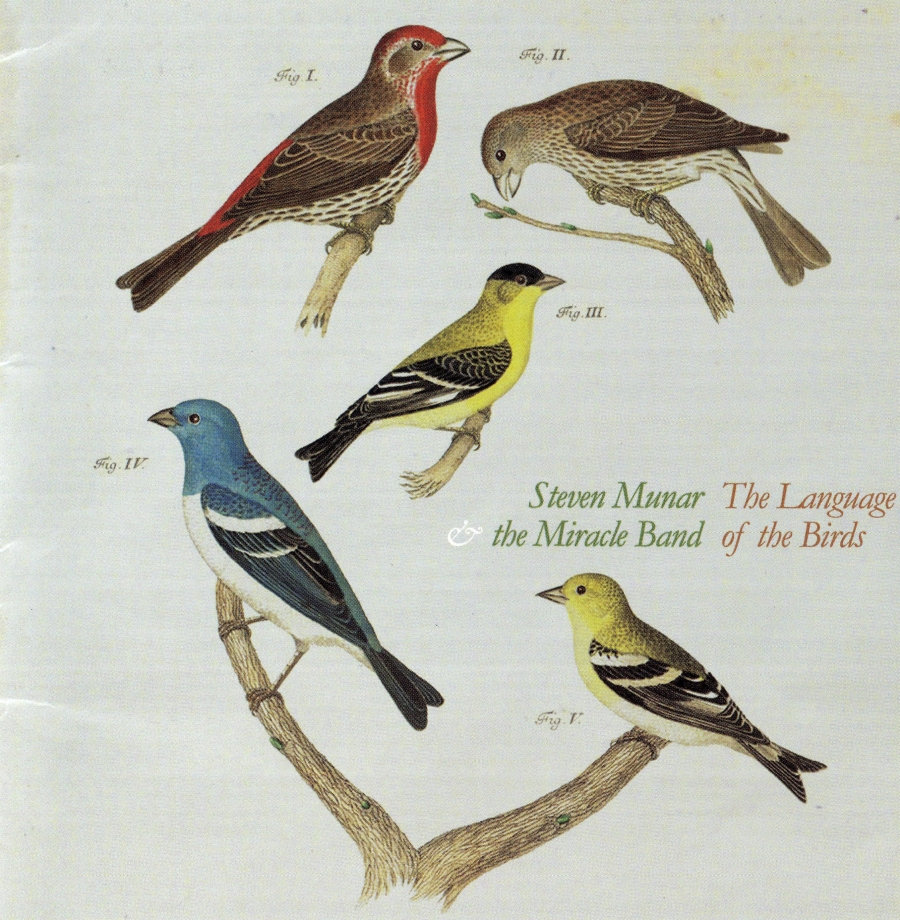 City With No Name Steven Munar The Miracle Band - 