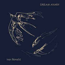 Dream Aviary cover art