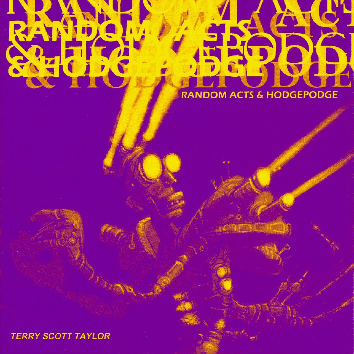 Random Acts & Hodgepodge | Terry Scott Taylor