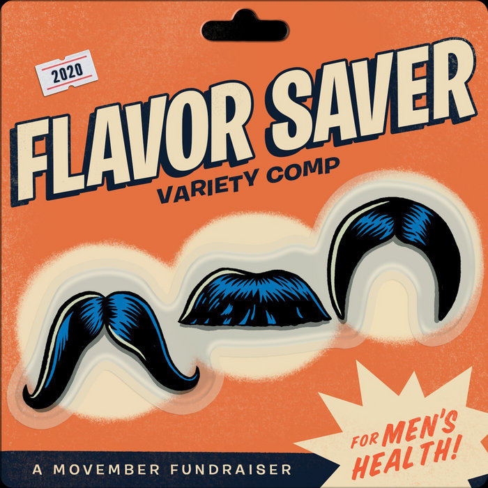 Flavor Saver Variety Pack Various Artists Mark Huber
