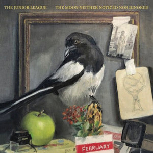 The Moon Neither Noticed Nor Ignored cover