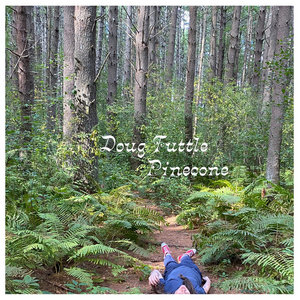 Pinecone cover