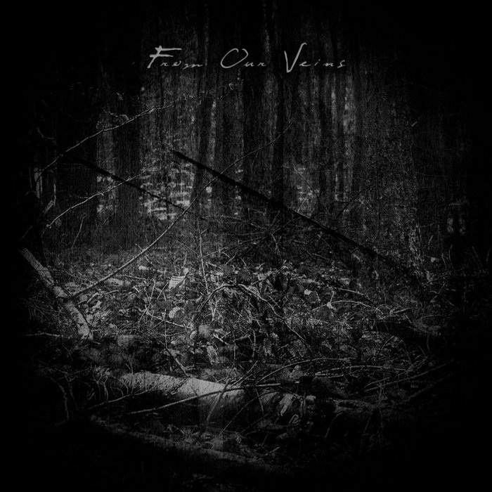 【中古】 Endless　sorrow/ＣＤシングル（１２ｃｍ）/AVCD-30254 From Our Veins | Final Thoughts / Endless Sorrow / Lost Inside
