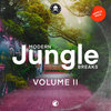 Sample Pack - Modern Jungle Breaks - Volume II (S.P.Y)