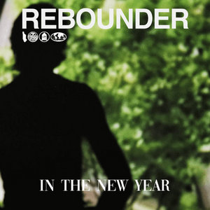 In The New Year (The Walkmen Cover) cover