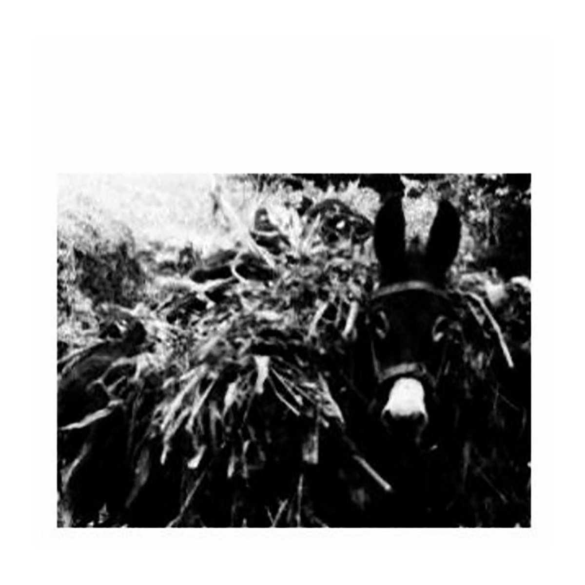 Modesto Galan - 9 Cuentos Destartalados EP