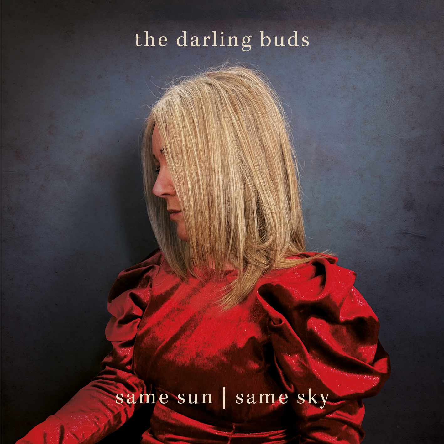 The Darling Buds — Same Sun / Same Sky