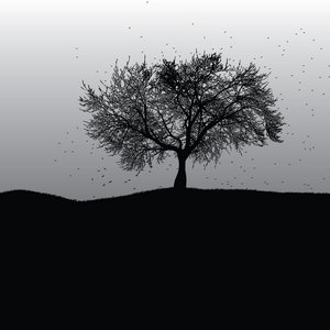 Orchestrated Tracks cover