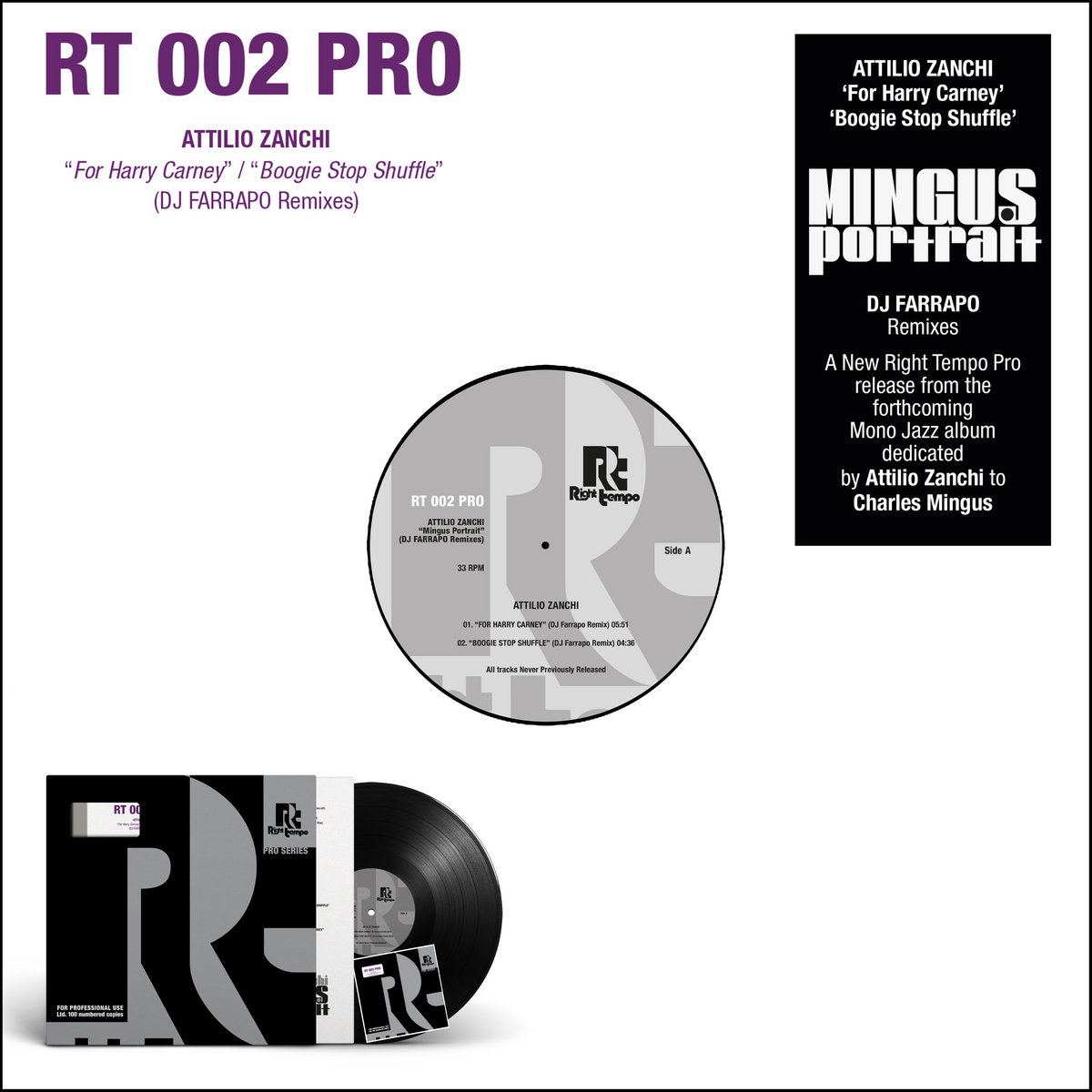 RT 002 PRO - Mingus Portrait (DJ Farrapo Remixes)