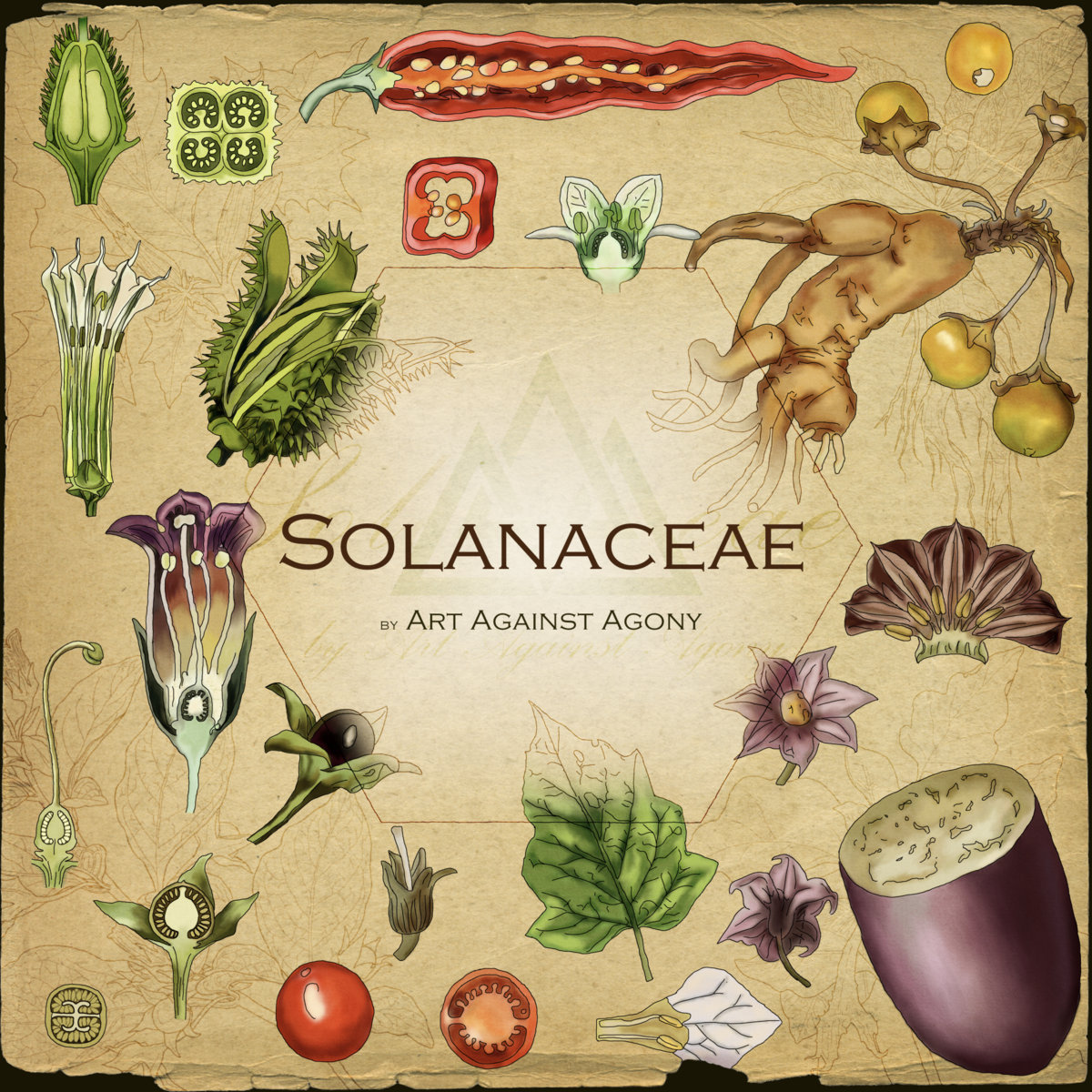 Solanaceae (EP) - 2020 | art against agony