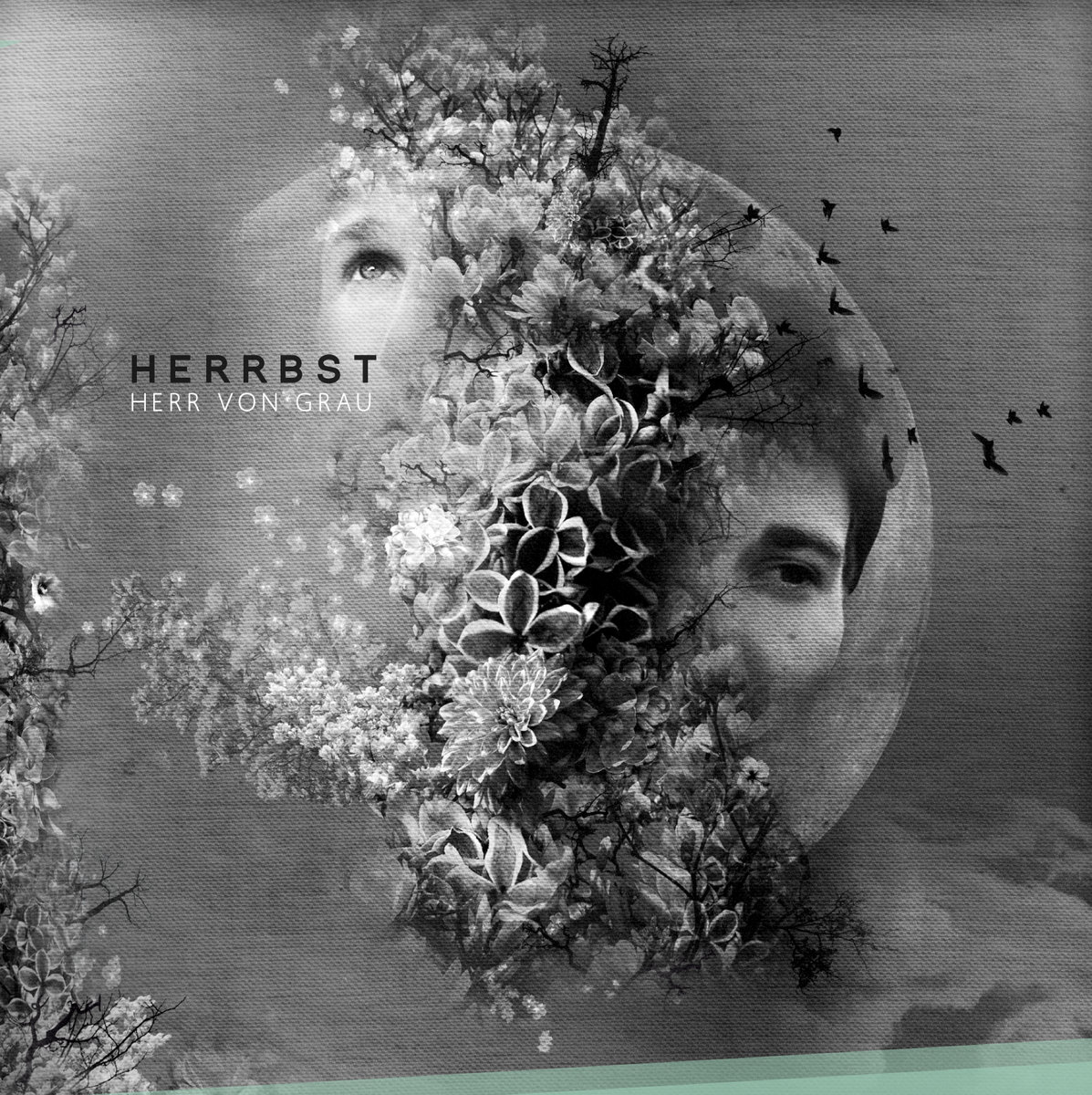 herr von grau internetmusik