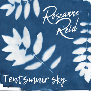 Tentsmuir Sky cover